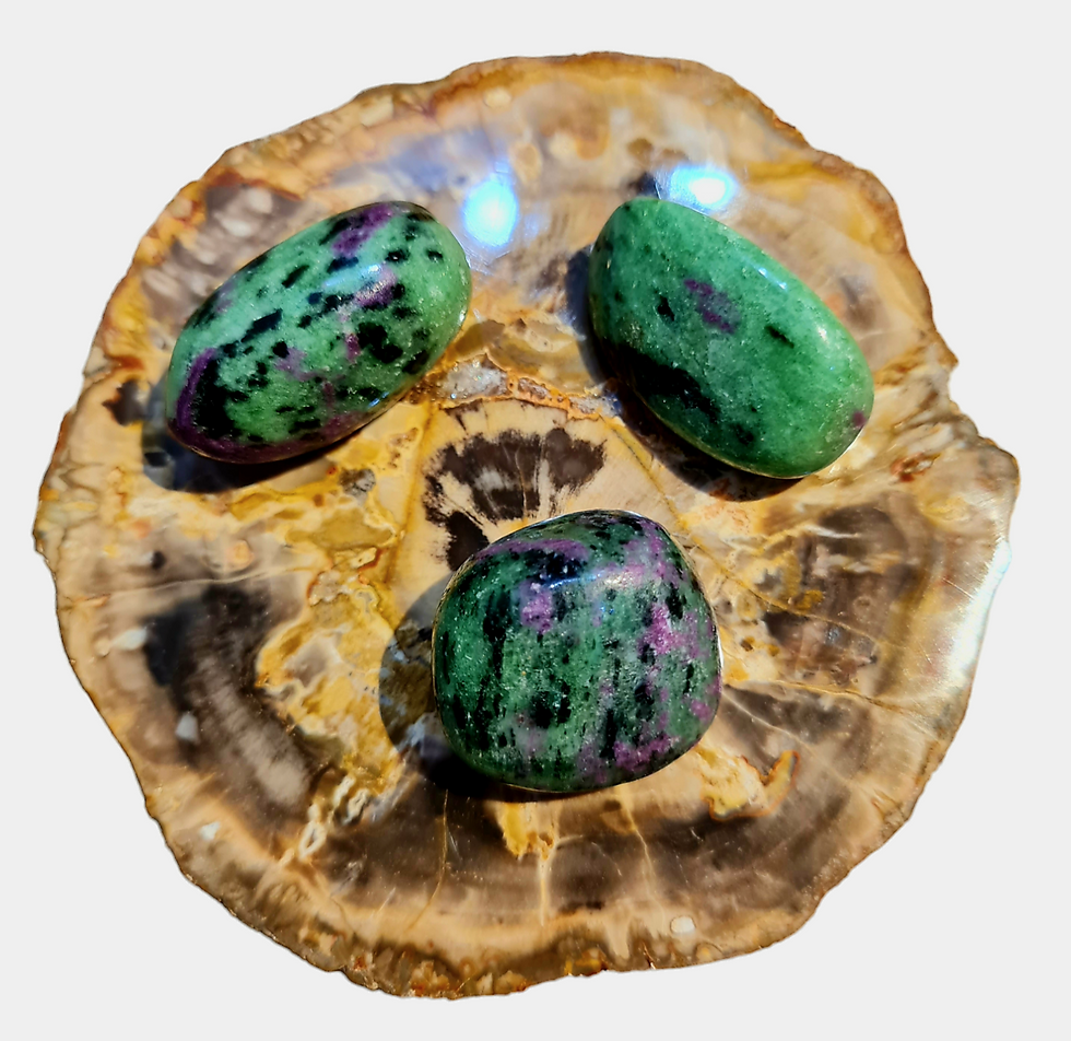 Renforce la vitalité, utile en cas de fatigue , renforce les reins, apporte fertilité, rééquilibre le système immunitaire