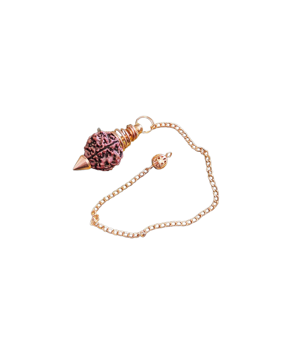 Pendule Rudraksha – Intuition & Protection  Ce pendule en graine de Rudraksha est un outil spirituel