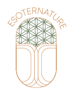 logo site page accueil.png