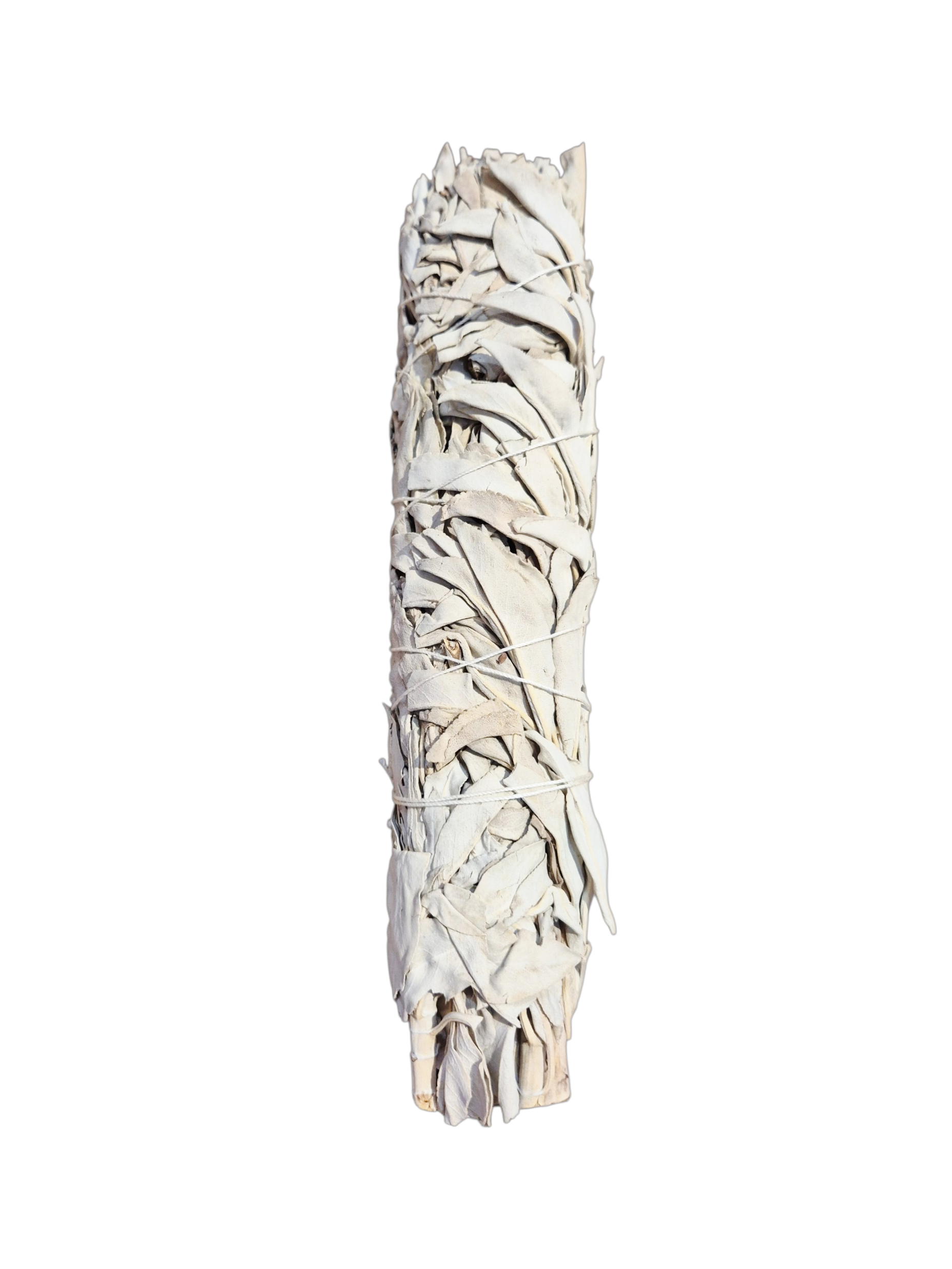 Bâton de sauge blanche Jumbo XL d’environ 22 × 4,5 cm. Grand smudge de fumigation pour la purification des maisons
