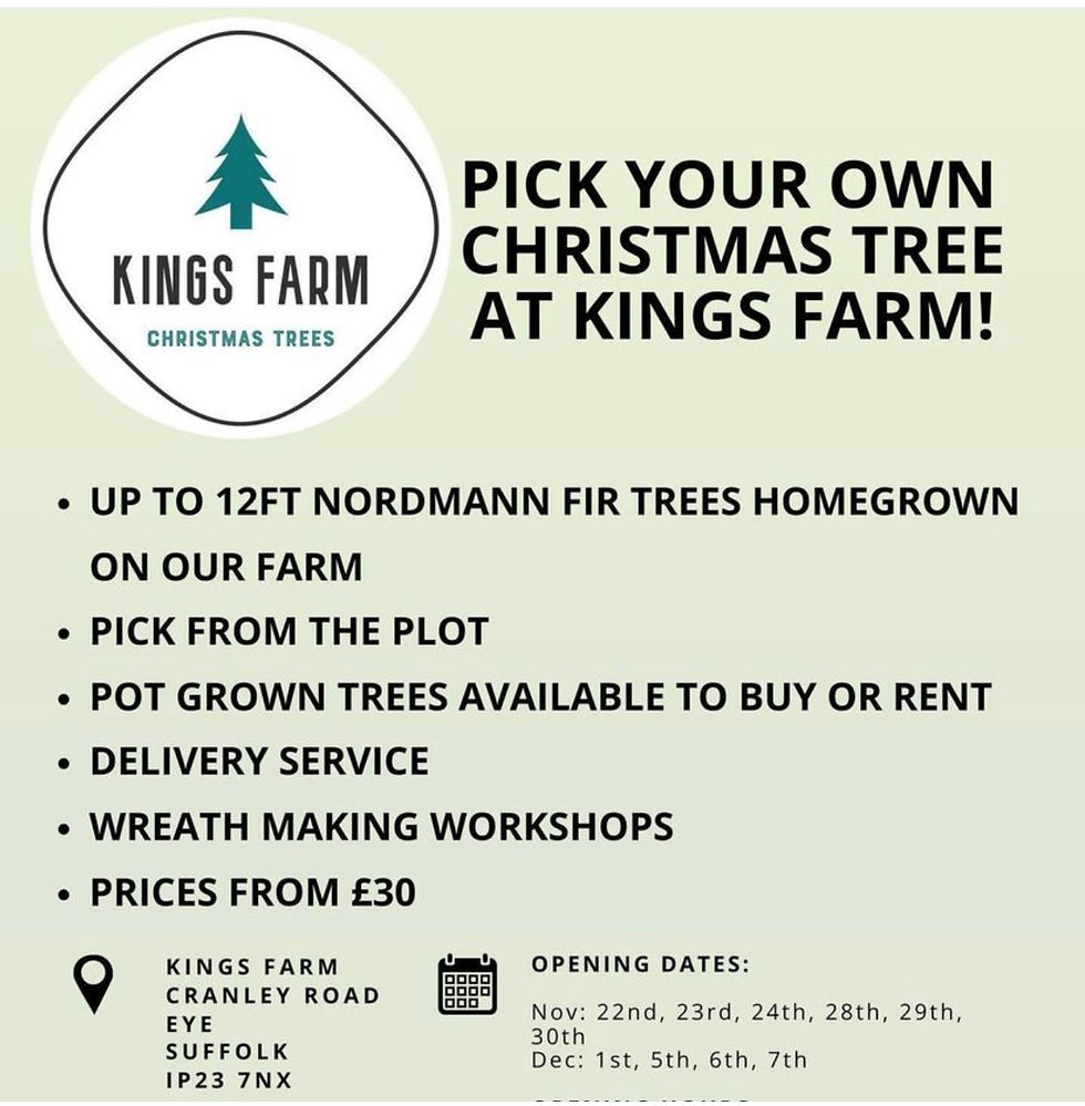 Pick your own Christmas tree
