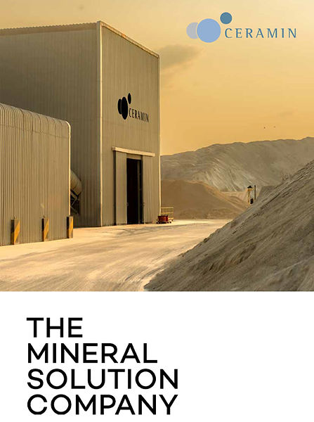 download picture (ceramin) (1).jpg