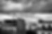 DSC_9122 copie.jpg