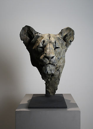 Bronze Lioness sculpture