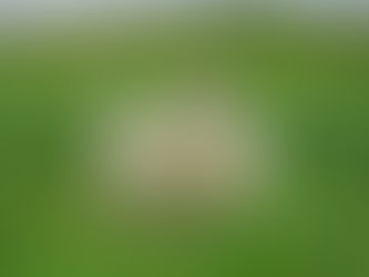 Recognizing God's Voice