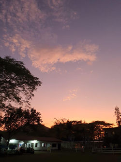 IMG-20220417-WA0021