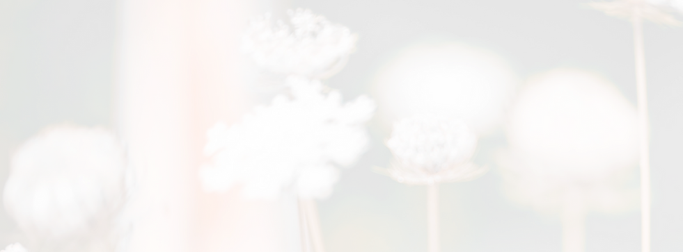 mon univers de photographe