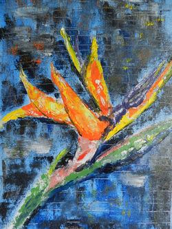 Bird of Paradise