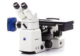 Axiovert7.jpg