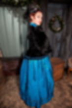 1860's Velvet and taffeta Gown
