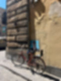 IMG_7509.jpeg
