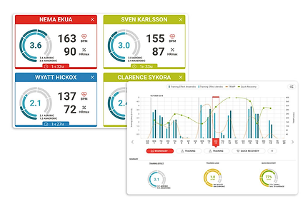 Gestion de la performance Firstbeat