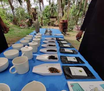 A tea tasting table at the Asian School of Tea