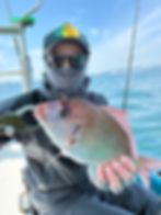 ブログのサムネイル画像