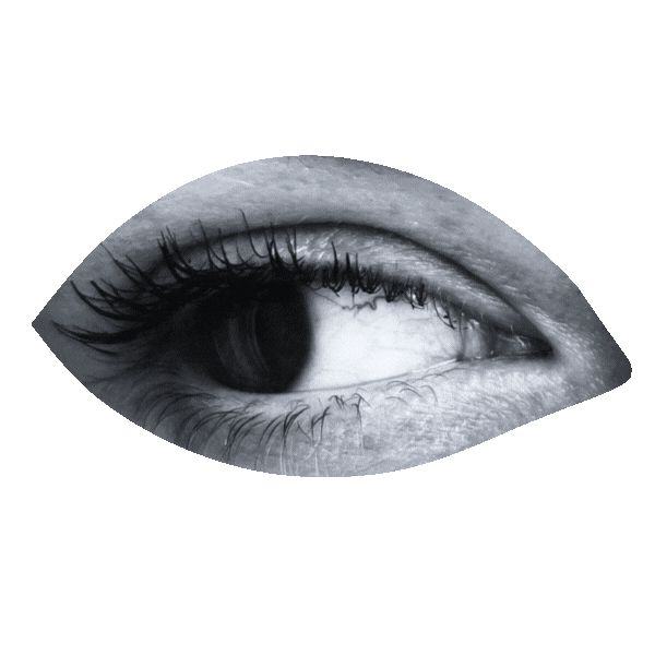 Clinical Psychologist South Yarra Melbourne Havening Technique Dr Deb Bennett