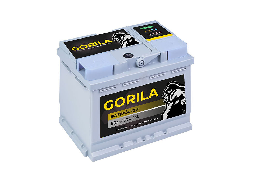GORILA 12V 75/80Amp (50Ah C20)