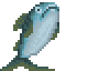 mainexport.gif