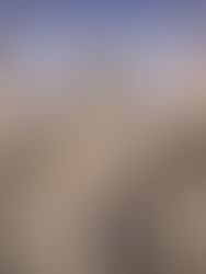 Three Vienna Monuments