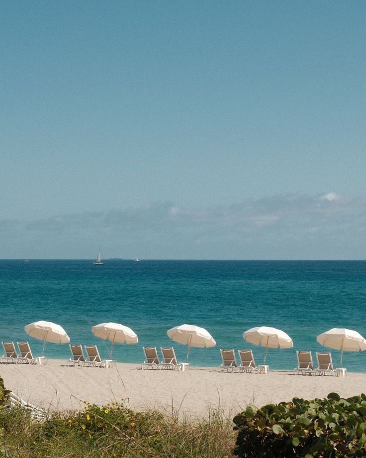 The Ultimate Miami Beach Day Guide: Where to Swim, Eat & Watch the Sunset