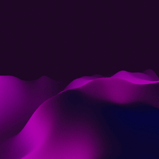 gif3.gif
