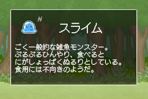 アイテム画面27