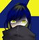 遠雷紬3.png