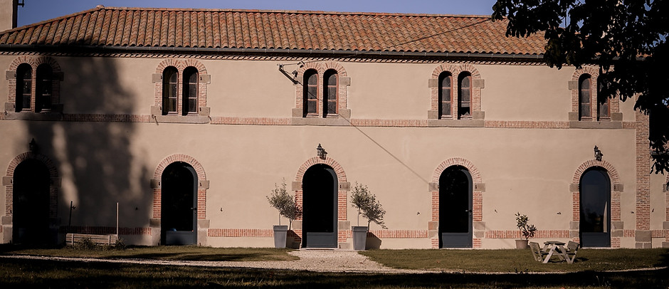 DSC09492 (Copier).jpg