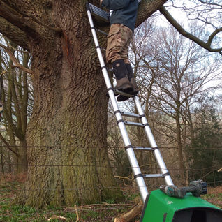 Spreading Our Wings : Helping Owls Find Homes in our local community!