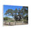 Thumbnail: Big Tree - Famous Largest Live Oak Tree Landscape Canvas Matte Stretched Canvas