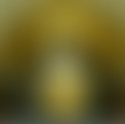 Santa Margarida Maria Alacoque - Dia 16 de Outubro