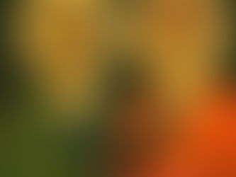 São Simão e São Judas Tadeu - Dia 28 de Outubro