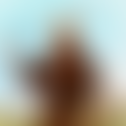 São Francisco de Assis - Dia 4 de Outubro