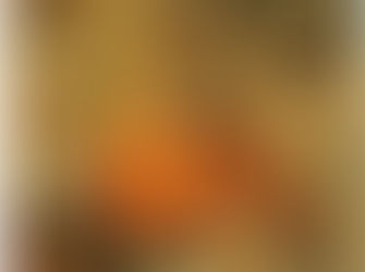 São Dâmaso - 11 Dez