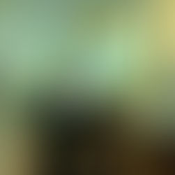 Santa Rita de Cássia - 22 de Maio