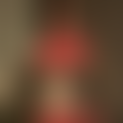 São Gregório Barbarigo - 18 de Junho