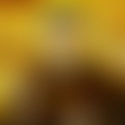 Santo Antônio de Sant'Anna Galvão (Frei Galvão) - Dia 25 de Novembro