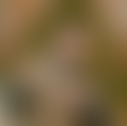 São José Cafasso - 23 de Junho