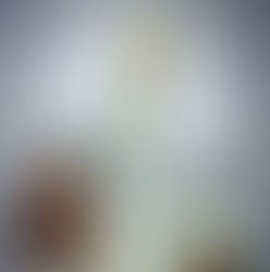 Santo Francisco e Santa Jacinta - 20 Fev