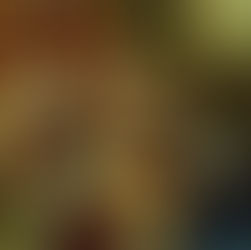 São Francisco de Sales - 24 Jan