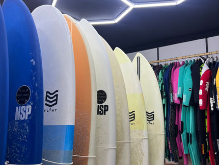 WORKING & VOLUNTEERING