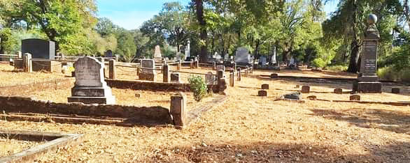 FB_IMG_1729988479387 a.jpg