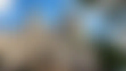 Integration Coalition Testifies at Preliminary Budget Hearing FY27- Education