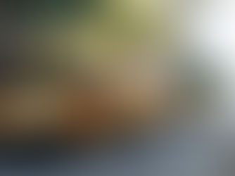 The Road to Better Busing Coalition Releases a Statement on the Three-Year Contract Extension for Yellow Bus Service in New York City