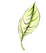 three green fallen leaves blowing in the air_edited.png