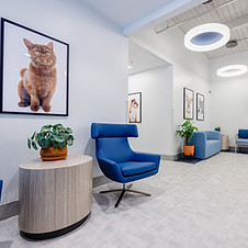 ARATL - IMG - High Res Int. - 137.jpg