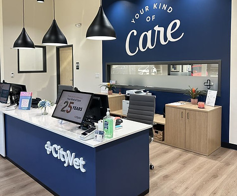 city-vet-veterinary-office-design-texas