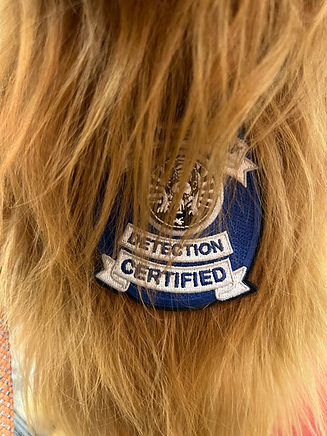 Otisbadge.HEIC