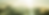 Anna Bruce DD edit 2019 (1 of 1)-83_edited.png