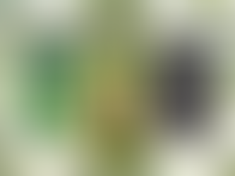 Flüssigwaschmittel mit Efeu