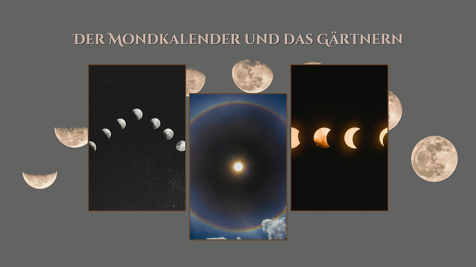 Alles hängt zusammen, und ist miteinander verbunden, genau so wie wir Menschen auf die Mondphasen reagieren tun es auch die Pflanzen.